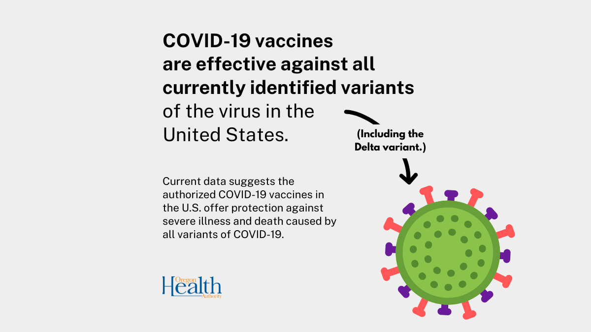 Vaccination rules for health care and K–12 staff