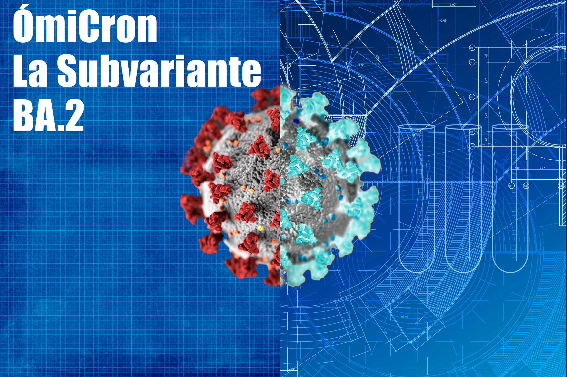 Lo que sabemos sobre la subvariante BA.2 de Ómicron