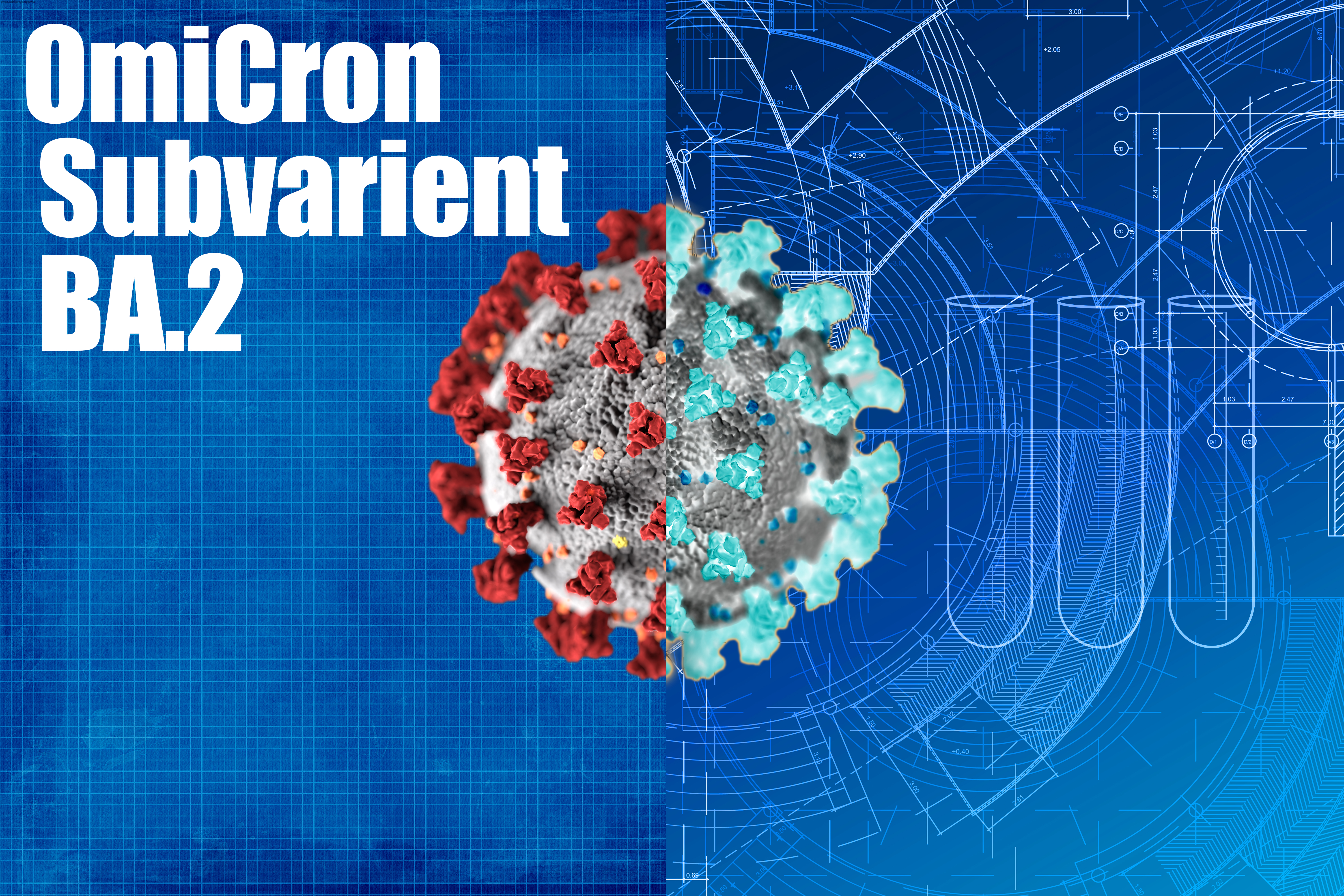 What we know about Omicron COVID-19 subvariant BA.2