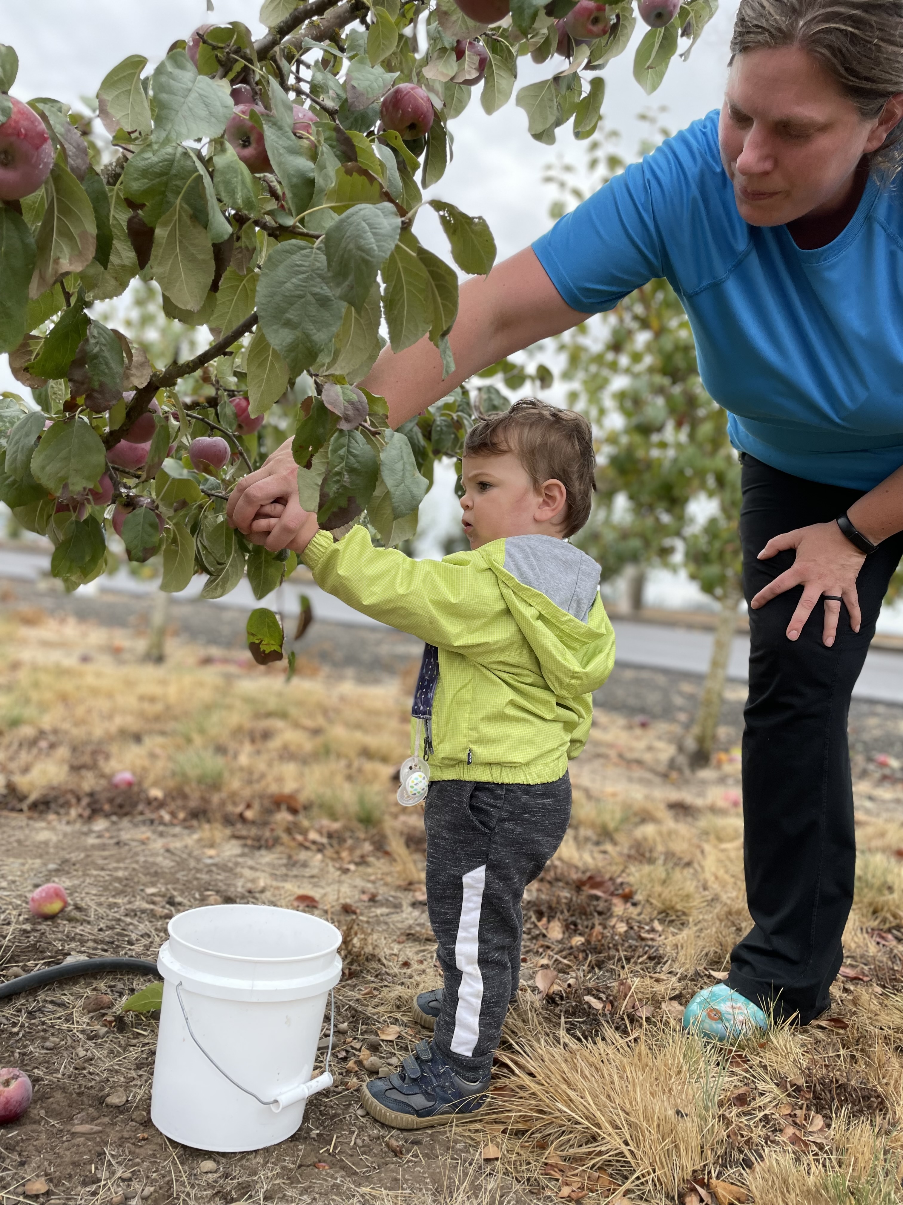 Collaboration bears fruit at Oregon State Hospital