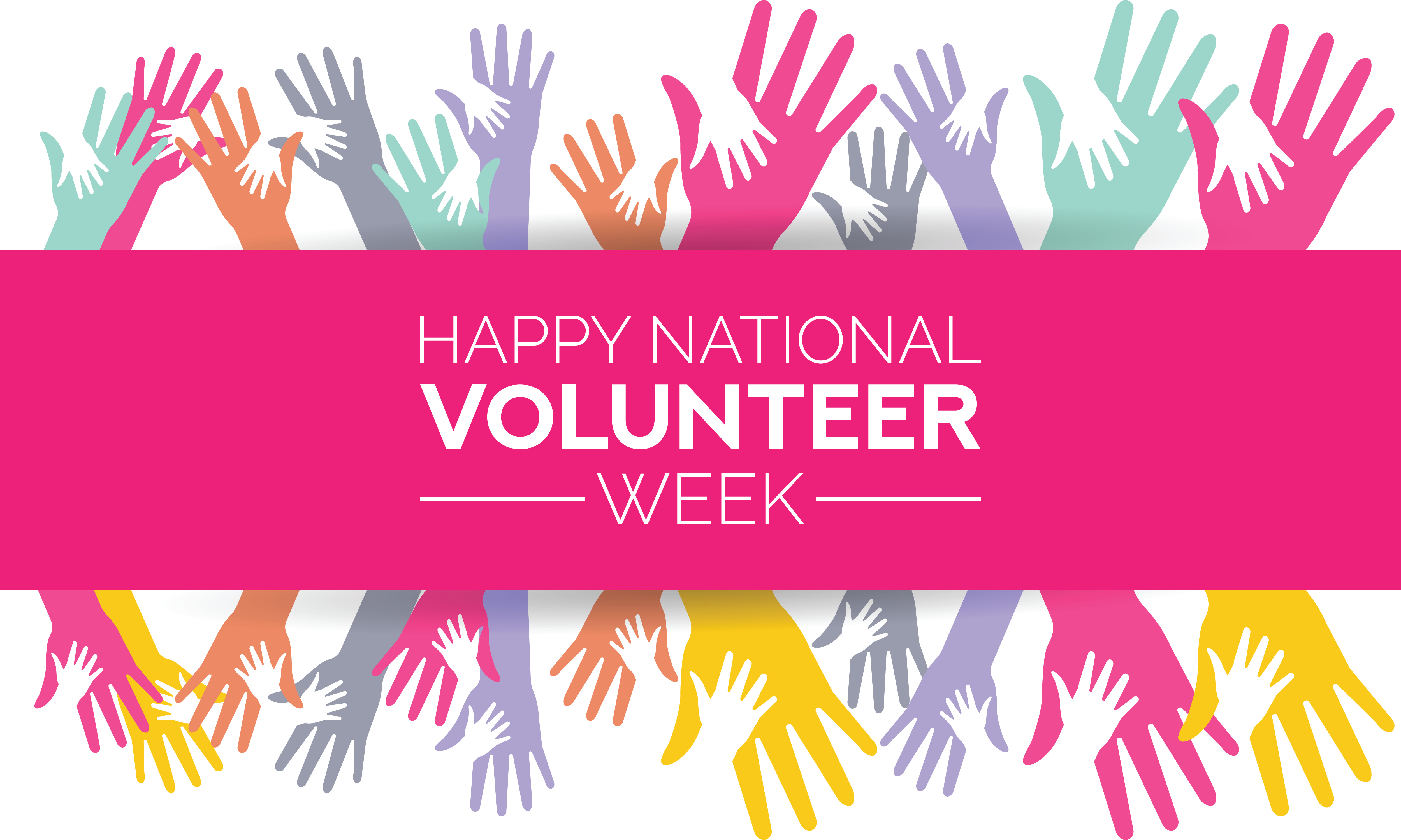 Celebrating National Volunteer Appreciation Week!